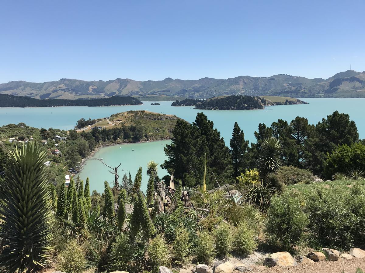 Church Bay Cabin: Sunny, Great Views Apartment Lyttelton Exterior photo